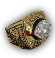 1997 Green Bay Packers America Football Conference Championship Ring, Custom Green Bay Packers Champions Ring