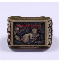 2023 MIT Grad Rat ring, MIT College Graduate Ring, Custom MIT Class Ring