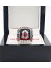 2008 Ohio State Buckeyes Men's Football Big Ten National College Championship Ring